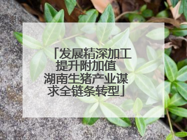 发展精深加工 提升附加值 湖南生猪产业谋求全链条转型