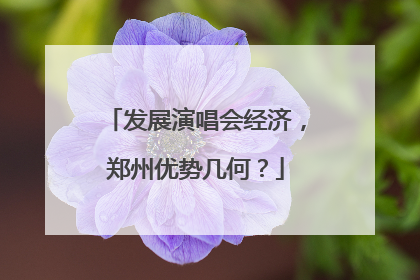 发展演唱会经济，郑州优势几何？