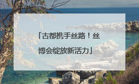 古都携手丝路！丝博会绽放新活力