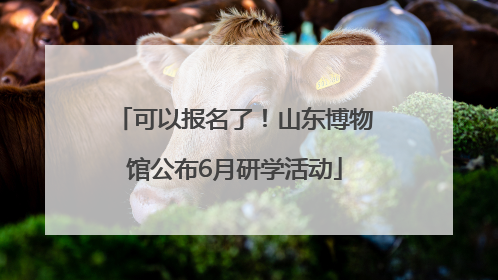 可以报名了！山东博物馆公布6月研学活动