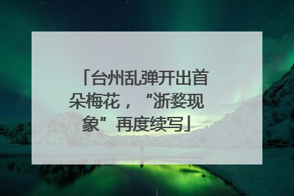 台州乱弹开出首朵梅花，“浙婺现象”再度续写