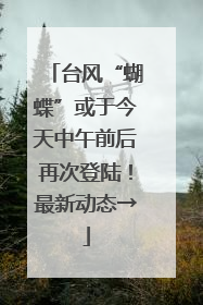 台风“蝴蝶”或于今天中午前后再次登陆！最新动态→