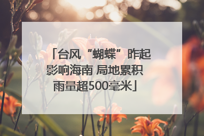 台风“蝴蝶”昨起影响海南 局地累积雨量超500毫米