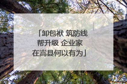 卸包袱 筑防线 帮升级 企业家在嵩县何以有为