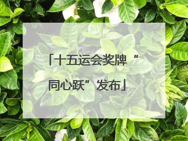 十五运会奖牌“同心跃”发布