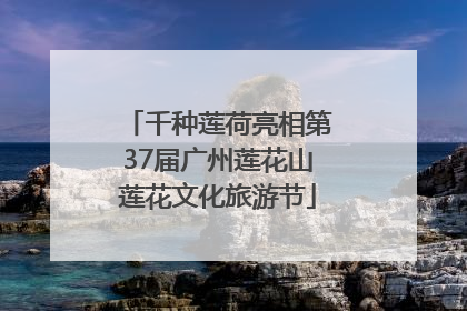 千种莲荷亮相第37届广州莲花山莲花文化旅游节