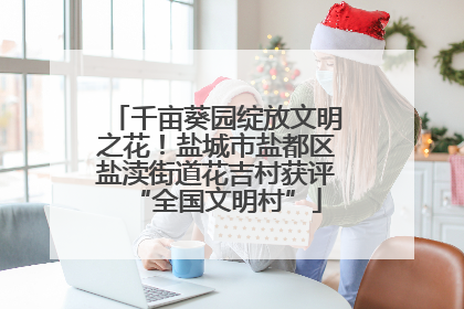 千亩葵园绽放文明之花！盐城市盐都区盐渎街道花吉村获评“全国文明村”