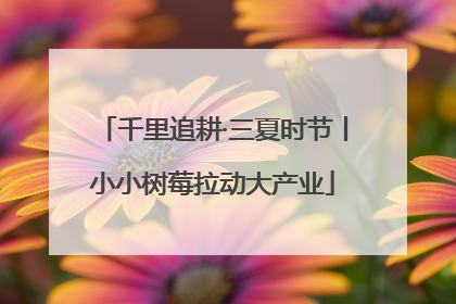 千里追耕·三夏时节丨小小树莓拉动大产业