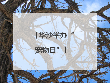 华沙举办“宠物日”