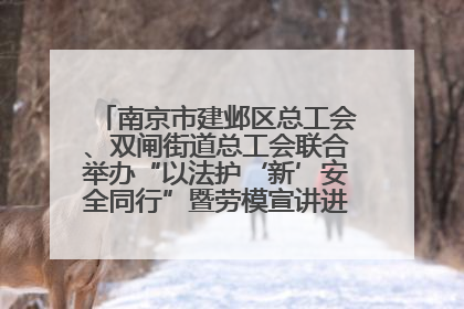 南京市建邺区总工会、双闸街道总工会联合举办“以法护‘新’安全同行”暨劳模宣讲进工地服务活动