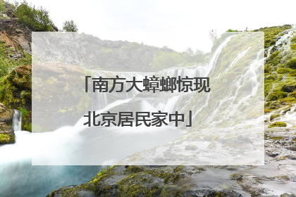 南方大蟑螂惊现北京居民家中