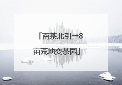 南茶北引→8亩荒地变茶园