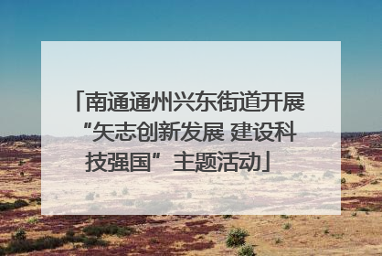 南通通州兴东街道开展“矢志创新发展 建设科技强国”主题活动