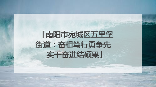 南阳市宛城区五里堡街道：奋楫笃行勇争先 实干奋进结硕果