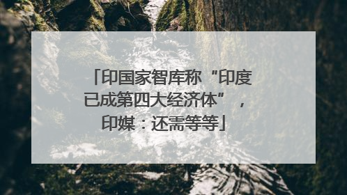 印国家智库称“印度已成第四大经济体”，印媒：还需等等