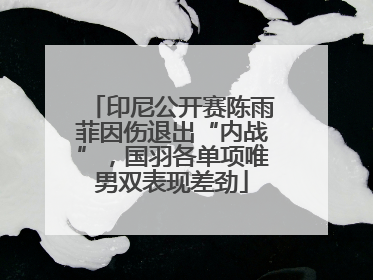 印尼公开赛陈雨菲因伤退出“内战”，国羽各单项唯男双表现差劲