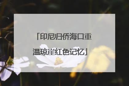 印尼归侨海口重温琼崖红色记忆