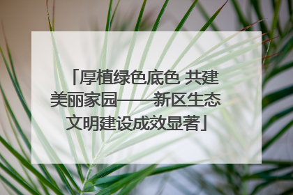 厚植绿色底色 共建美丽家园——新区生态文明建设成效显著