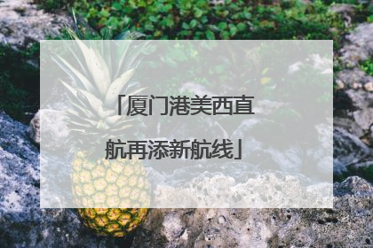 厦门港美西直航再添新航线