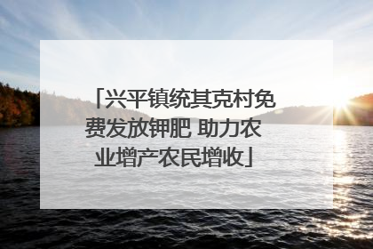 兴平镇统其克村免费发放钾肥 助力农业增产农民增收
