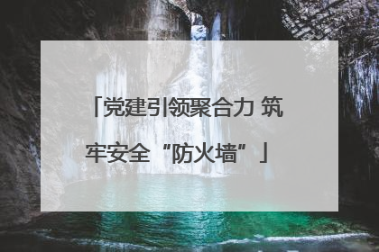党建引领聚合力 筑牢安全“防火墙”
