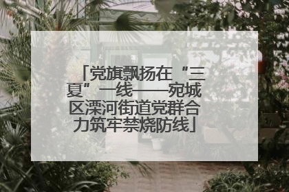 党旗飘扬在“三夏”一线——宛城区溧河街道党群合力筑牢禁烧防线