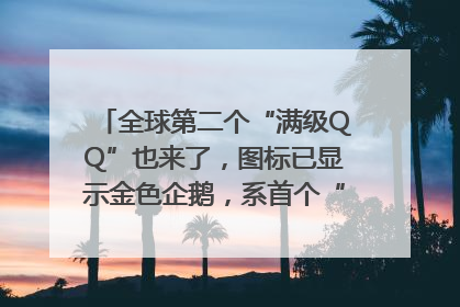 全球第二个“满级QQ”也来了，图标已显示金色企鹅，系首个“满级QQ”的小号