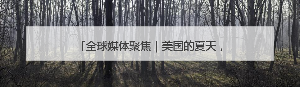 全球媒体聚焦｜美国的夏天，被关税政策“浇灭”了热情