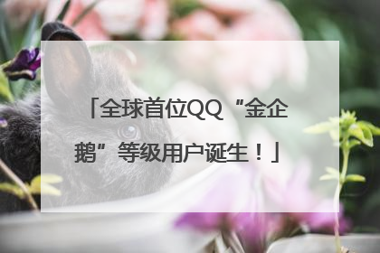 全球首位QQ“金企鹅”等级用户诞生！