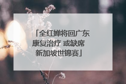 全红婵将回广东康复治疗 或缺席新加坡世锦赛