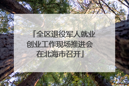 全区退役军人就业创业工作现场推进会在北海市召开