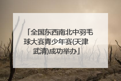 全国东西南北中羽毛球大赛青少年赛(天津武清)成功举办