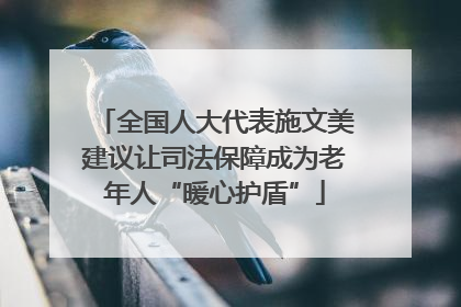 全国人大代表施文美建议让司法保障成为老年人“暖心护盾”