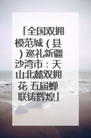 全国双拥模范城（县）巡礼新疆沙湾市：天山北麓双拥花 五届蝉联铸辉煌