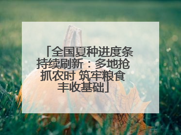 全国夏种进度条持续刷新：多地抢抓农时 筑牢粮食丰收基础