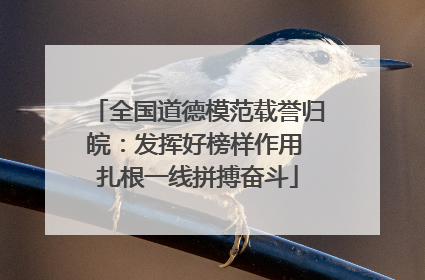 全国道德模范载誉归皖：发挥好榜样作用 扎根一线拼搏奋斗