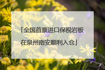 全国首票进口保税岩板在泉州南安顺利入仓