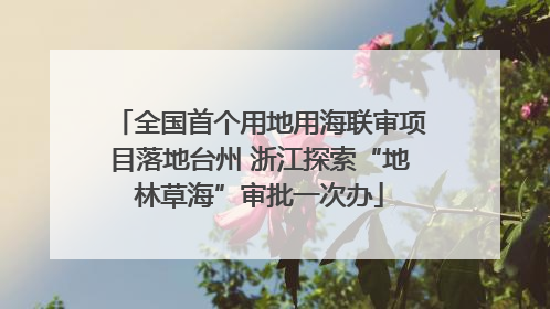 全国首个用地用海联审项目落地台州 浙江探索“地林草海”审批一次办