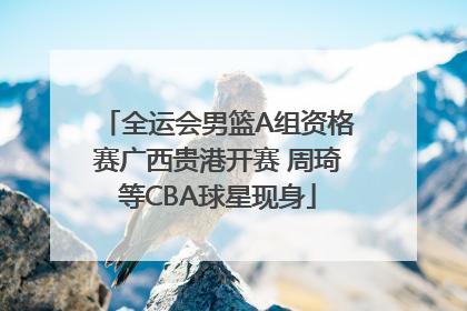 全运会男篮A组资格赛广西贵港开赛 周琦等CBA球星现身