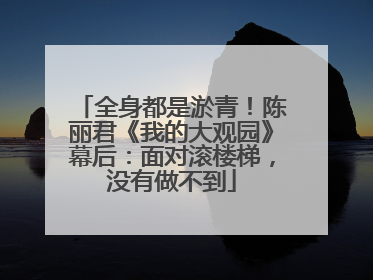 全身都是淤青！陈丽君《我的大观园》幕后：面对滚楼梯，没有做不到