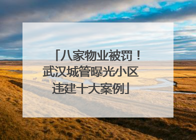 八家物业被罚！武汉城管曝光小区违建十大案例