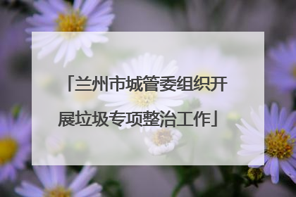 兰州市城管委组织开展垃圾专项整治工作