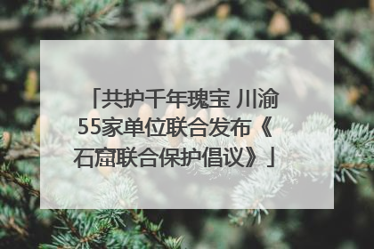 共护千年瑰宝 川渝55家单位联合发布《石窟联合保护倡议》