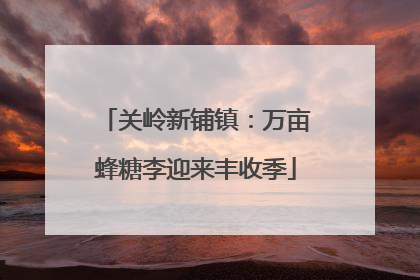 关岭新铺镇：万亩蜂糖李迎来丰收季