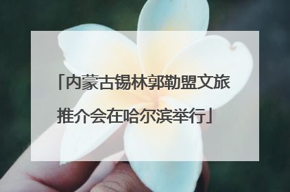内蒙古锡林郭勒盟文旅推介会在哈尔滨举行