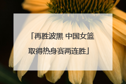 再胜波黑 中国女篮取得热身赛两连胜
