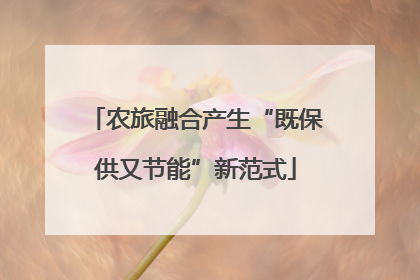 农旅融合产生“既保供又节能”新范式