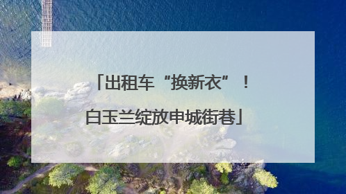 出租车“换新衣”！白玉兰绽放申城街巷