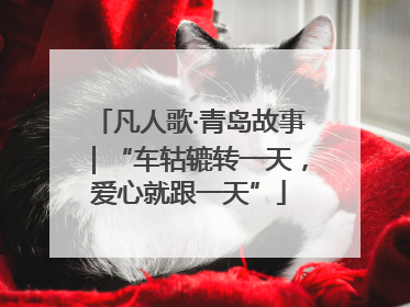 凡人歌·青岛故事｜“车轱辘转一天，爱心就跟一天”