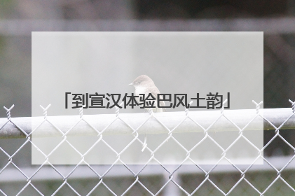到宣汉体验巴风土韵
